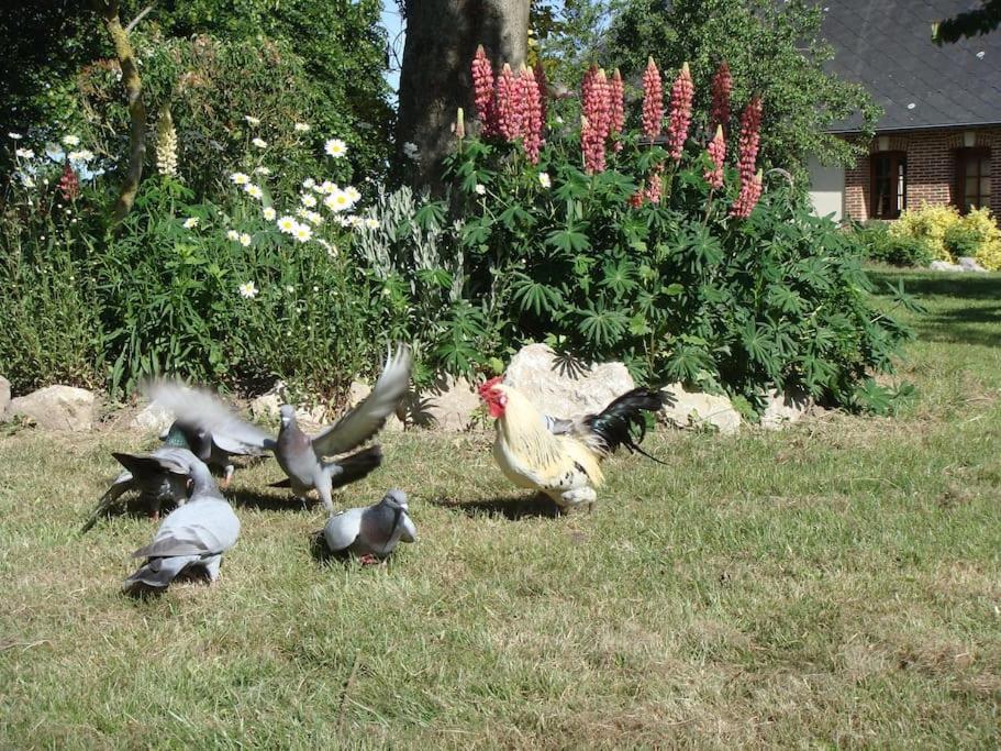 Les Coquelicots Villa Nibas Eksteriør billede